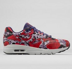 Nike Air Max 1 In 420608 For Women